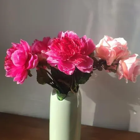 Les Coquelicots Ονφλέρ