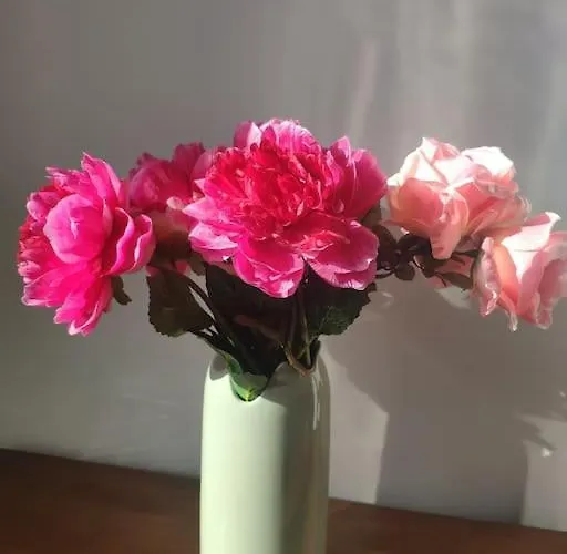 Les Coquelicots Honfleur